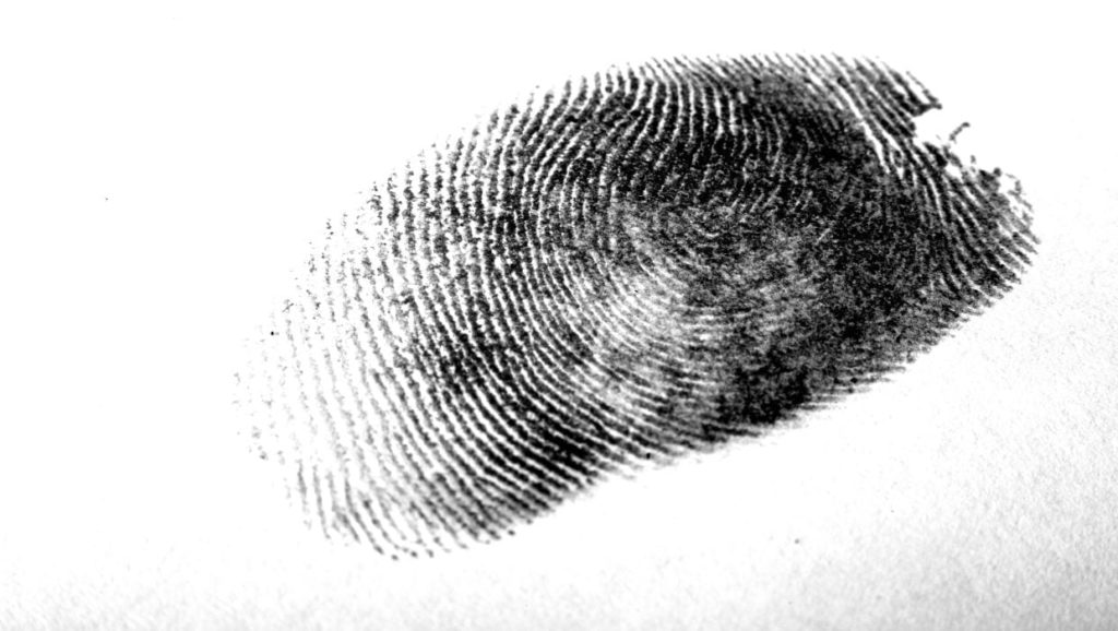 When was Biometrics First Introduced?